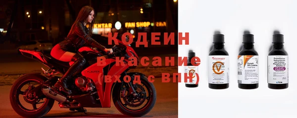 стафф Вяземский