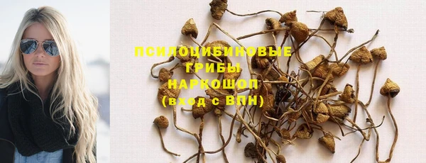 jwh Горняк