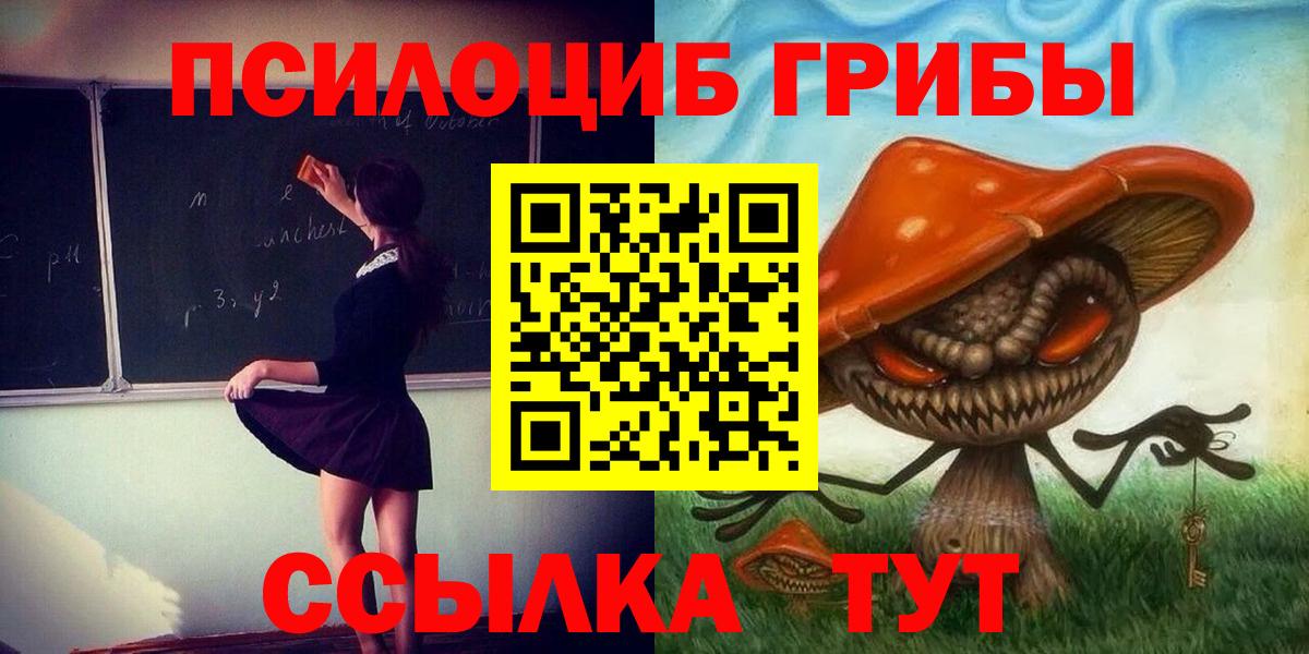 Галлюциногенные грибы Psilocybe  Воркута  купить  сайты  Псилоцибиновые грибы Psilocybe 